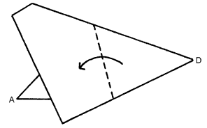 Brooklyn Origami - Bullfrog