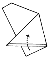 Brooklyn Origami - Bullfrog