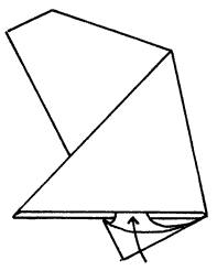 Brooklyn Origami - Bullfrog
