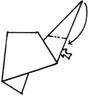 Brooklyn Origami - Kiwi
