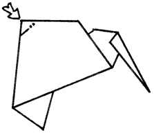 Brooklyn Origami - Kiwi
