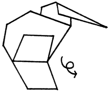 Brooklyn Origami - Kiwi