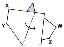 Brooklyn Origami - Little Bird