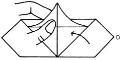 Brooklyn Origami - Pureland Phoenix