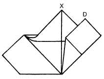 Brooklyn Origami - Pureland Phoenix