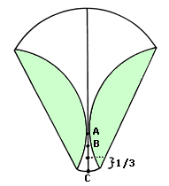 Brooklyn Origami Circular Bird 9