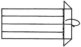 Brooklyn Origami - Guinea Pig I