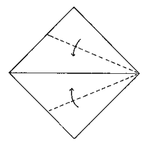 Brooklyn Origami - Simple Kiwi