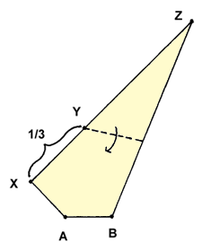 Brooklyn Origami - Simple Kiwi