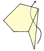 Brooklyn Origami - Simple Kiwi