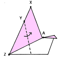 Brooklyn Origami Tropical Bird 6